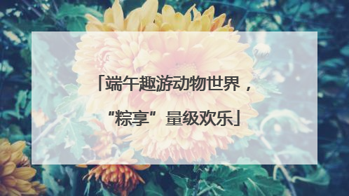 端午趣游动物世界，“粽享”量级欢乐