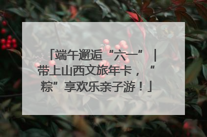 端午邂逅“六一”｜带上山西文旅年卡，“粽”享欢乐亲子游！