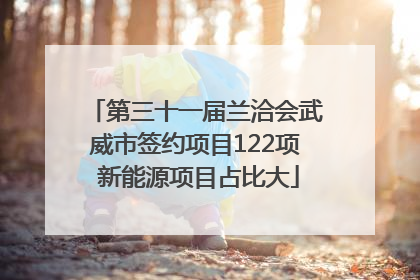 第三十一届兰洽会武威市签约项目122项 新能源项目占比大