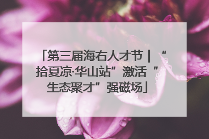 第三届海右人才节｜“拾夏凉·华山站”激活“生态聚才”强磁场