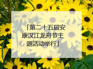 第二十五届安康汉江龙舟节主题活动举行
