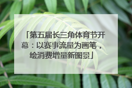 第五届长三角体育节开幕：以赛事流量为画笔，绘消费增量新图景