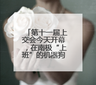 第十一届上交会今天开幕，在南极“上班”的机器狗回来了