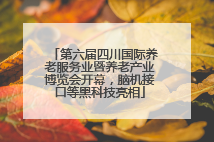 第六届四川国际养老服务业暨养老产业博览会开幕，脑机接口等黑科技亮相