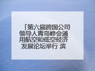 第六届跨国公司领导人青岛峰会通用航空和低空经济发展论坛举行 滨州市全方位推介低空经济发展优势