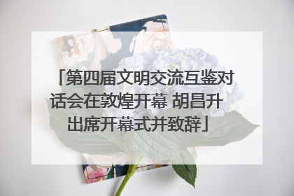 第四届文明交流互鉴对话会在敦煌开幕 胡昌升出席开幕式并致辞