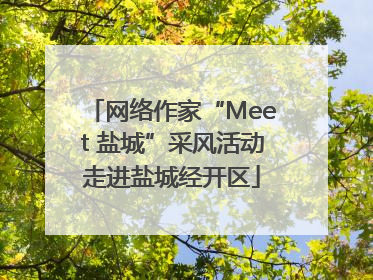 网络作家“Meet 盐城”采风活动走进盐城经开区