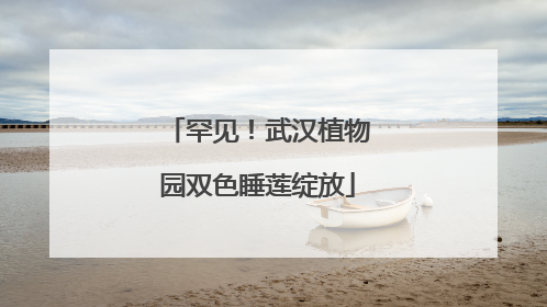 罕见！武汉植物园双色睡莲绽放