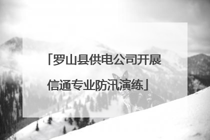 罗山县供电公司开展信通专业防汛演练