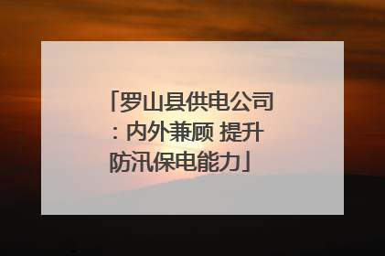 罗山县供电公司：内外兼顾 提升防汛保电能力