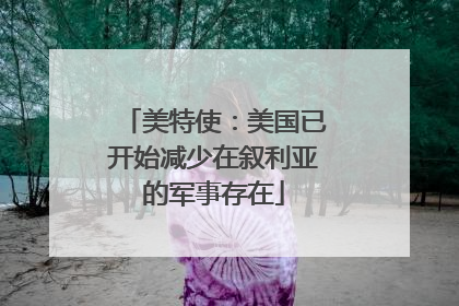美特使：美国已开始减少在叙利亚的军事存在