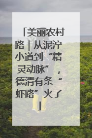 美丽农村路｜从泥泞小道到“精灵动脉”，德清有条“虾路”火了
