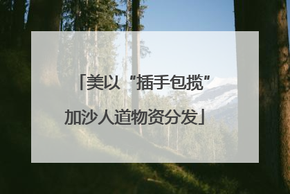 美以“插手包揽”加沙人道物资分发