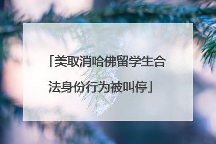 美取消哈佛留学生合法身份行为被叫停