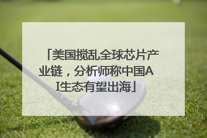 美国搅乱全球芯片产业链，分析师称中国AI生态有望出海