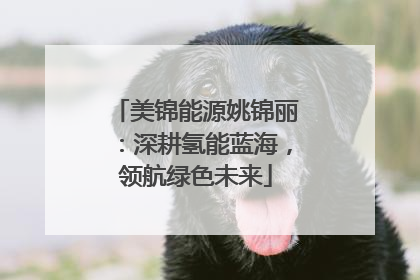 美锦能源姚锦丽：深耕氢能蓝海，领航绿色未来