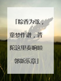 粽香为弦，童梦作谱，普陀这里奏响睦邻新乐章
