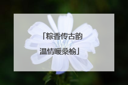 粽香传古韵 温情暖桑榆