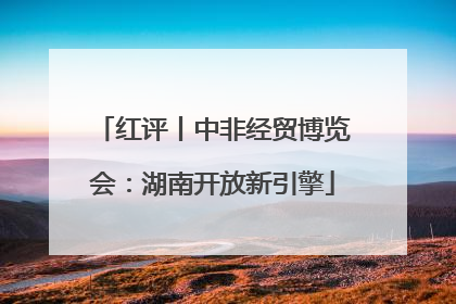 红评丨中非经贸博览会：湖南开放新引擎