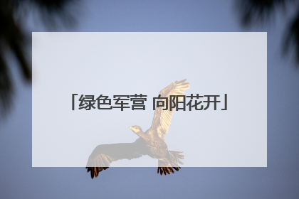 绿色军营 向阳花开
