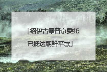 绍伊古奉普京委托已抵达朝鲜平壤