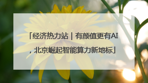 经济热力站｜有颜值更有AI，北京崛起智能算力新地标