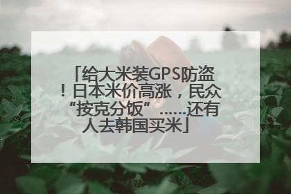 给大米装GPS防盗！日本米价高涨，民众“按克分饭”……还有人去韩国买米