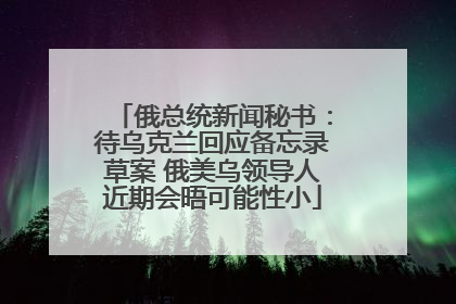 俄总统新闻秘书：待乌克兰回应备忘录草案 俄美乌领导人近期会晤可能性小