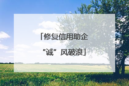 修复信用助企“诚”风破浪