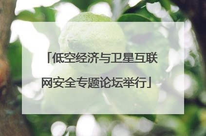低空经济与卫星互联网安全专题论坛举行