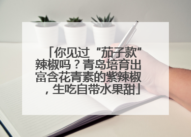 你见过“茄子款”辣椒吗？青岛培育出富含花青素的紫辣椒，生吃自带水果甜
