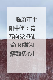 临汾市平阳中学：青春向党担使命 团徽闪耀践初心