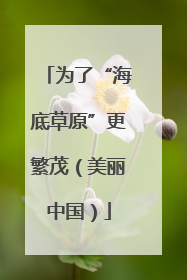 为了“海底草原”更繁茂（美丽中国）