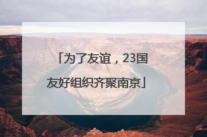 为了友谊，23国友好组织齐聚南京