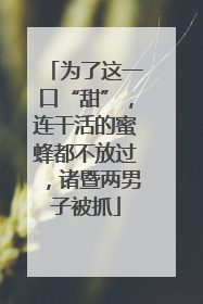 为了这一口“甜”，连干活的蜜蜂都不放过，诸暨两男子被抓