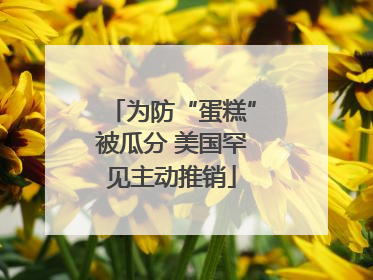 为防“蛋糕”被瓜分 美国罕见主动推销