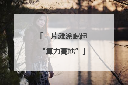 一片滩涂崛起“算力高地”