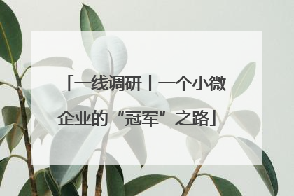 一线调研丨一个小微企业的“冠军”之路