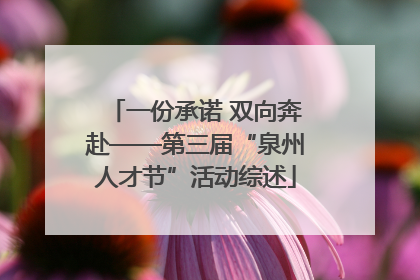 一份承诺 双向奔赴——第三届“泉州人才节”活动综述