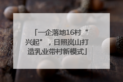 一企落地16村“兴起”，日照岚山打造乳业带村新模式