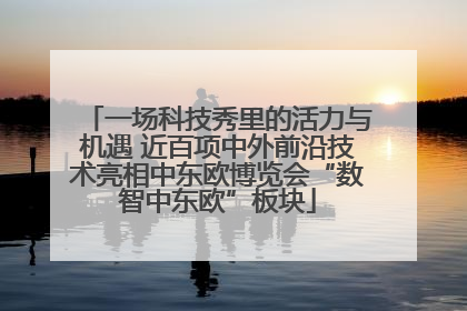 一场科技秀里的活力与机遇 近百项中外前沿技术亮相中东欧博览会“数智中东欧”板块