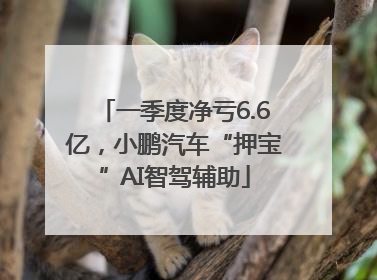 一季度净亏6.6亿，小鹏汽车“押宝”AI智驾辅助