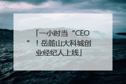 一小时当“CEO”！岳麓山大科城创业经纪人上线