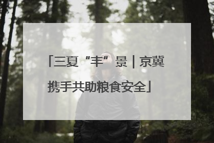 三夏“丰”景｜京冀携手共助粮食安全