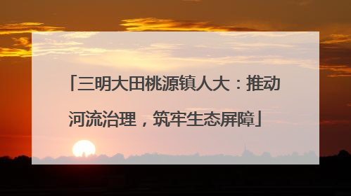三明大田桃源镇人大：推动河流治理，筑牢生态屏障