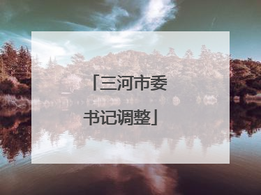 三河市委书记调整