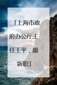 上海市政府办公厅主任王平，履新职