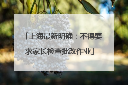 上海最新明确：不得要求家长检查批改作业