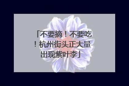 不要摘！不要吃！杭州街头正大量出现紫叶李