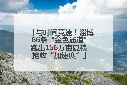与时间竞速！淄博66条“金色通道”跑出156万亩夏粮抢收“加速度”